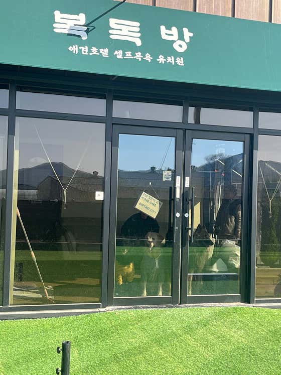 양주복독방