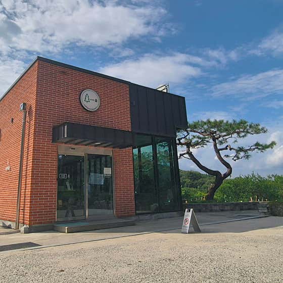 위드솔