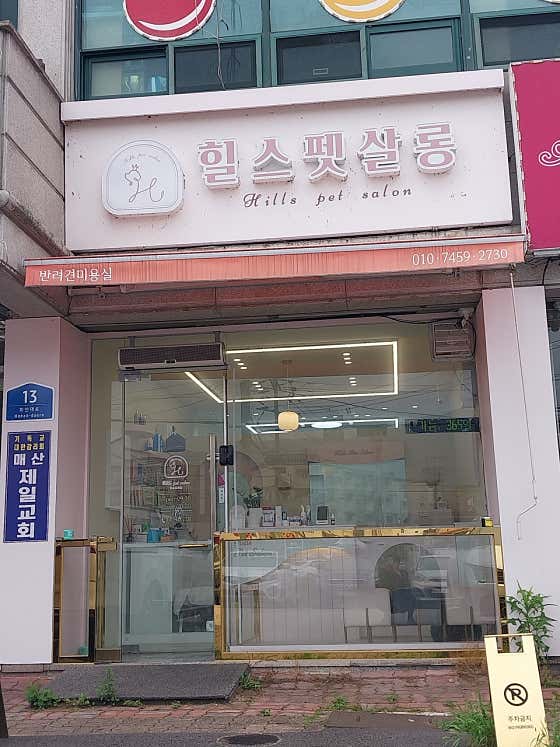 힐스 펫살롱 · 네이버 지도·플레이스 4
