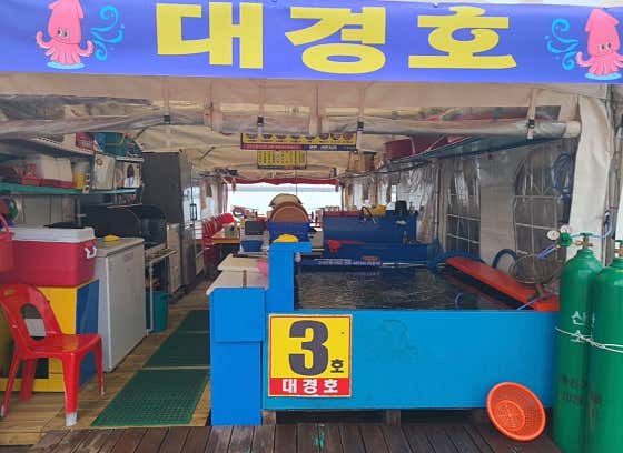 오징어난전 3호대경호