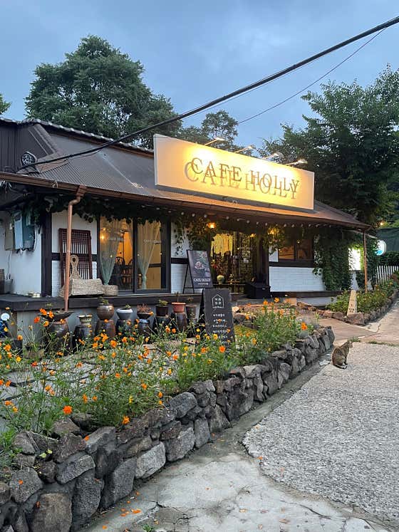 카페홀리