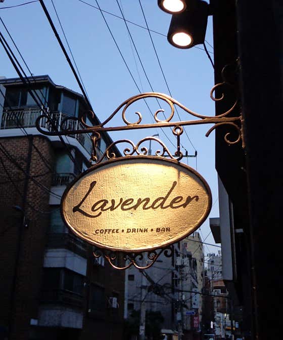 라벤다 lavender · 네이버 지도·플레이스 4