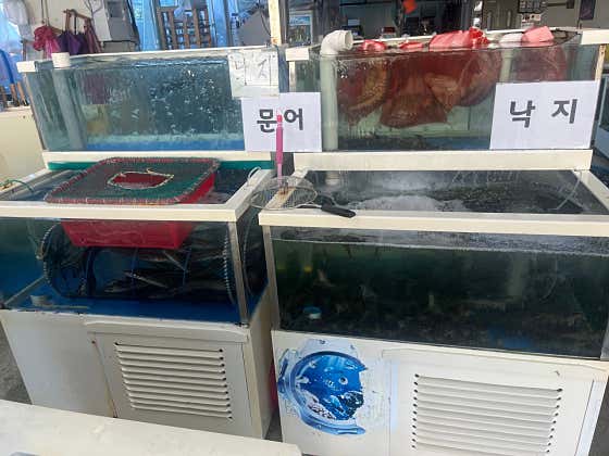 장목수산센터 다이버수산 · 네이버 지도·플레이스 9