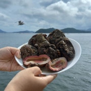 돌멍게 메뉴 사진(네이버)