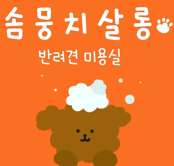 솜뭉치살롱