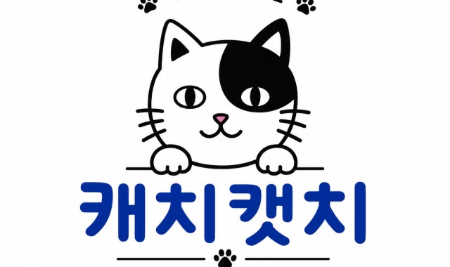 고양이카페 캐치캣치 대표 사진
