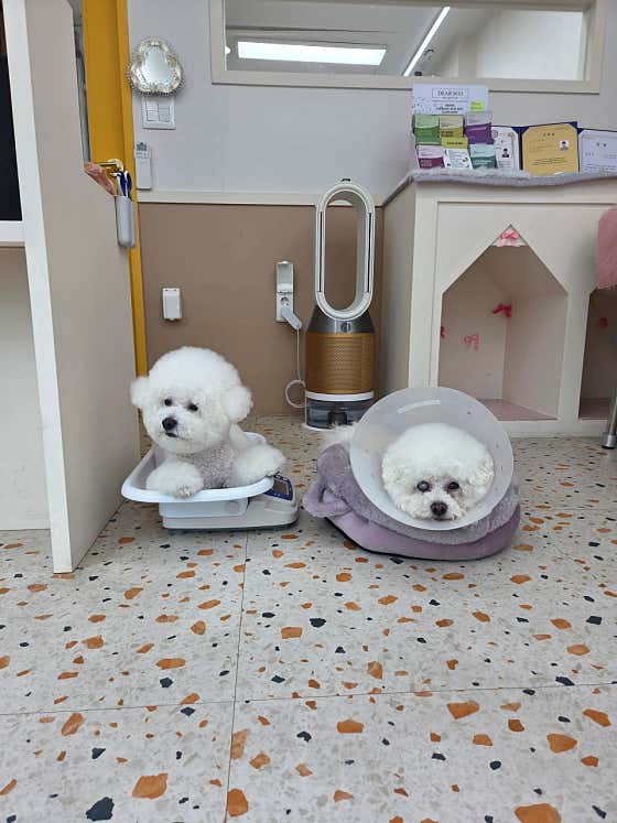 뽐나개 · 네이버 지도·플레이스 5