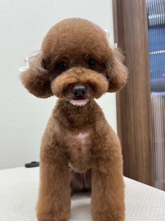 퓨어하트 · 네이버 지도·플레이스 6
