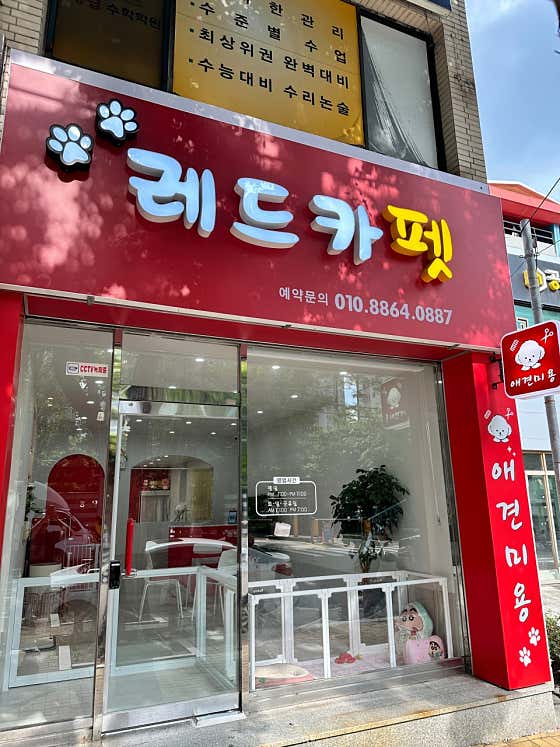 레드카펫 · 네이버 지도·플레이스 2