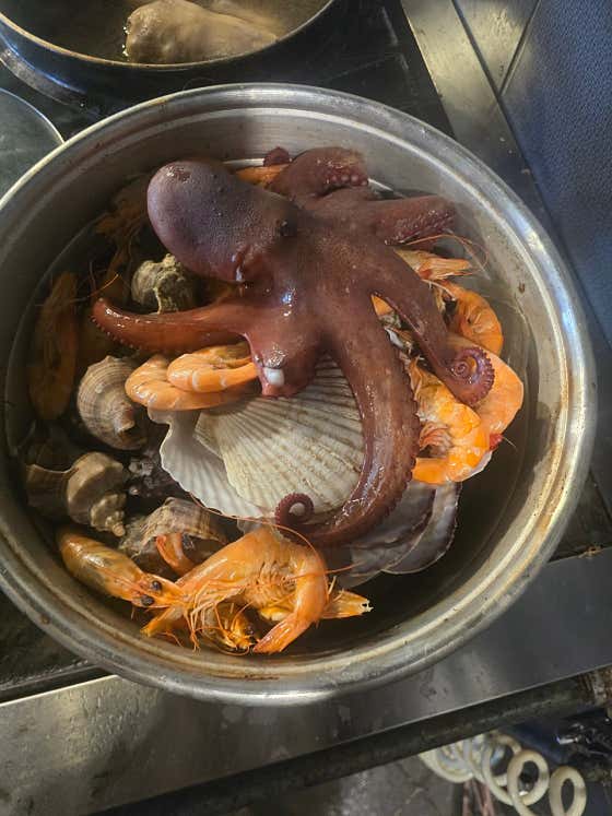 힙조갱 · 네이버 지도·플레이스 2