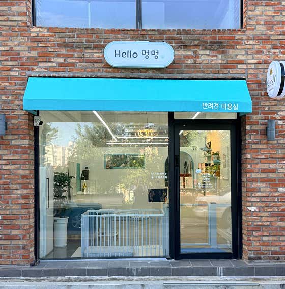 헬로멍멍 · 네이버 지도·플레이스 2