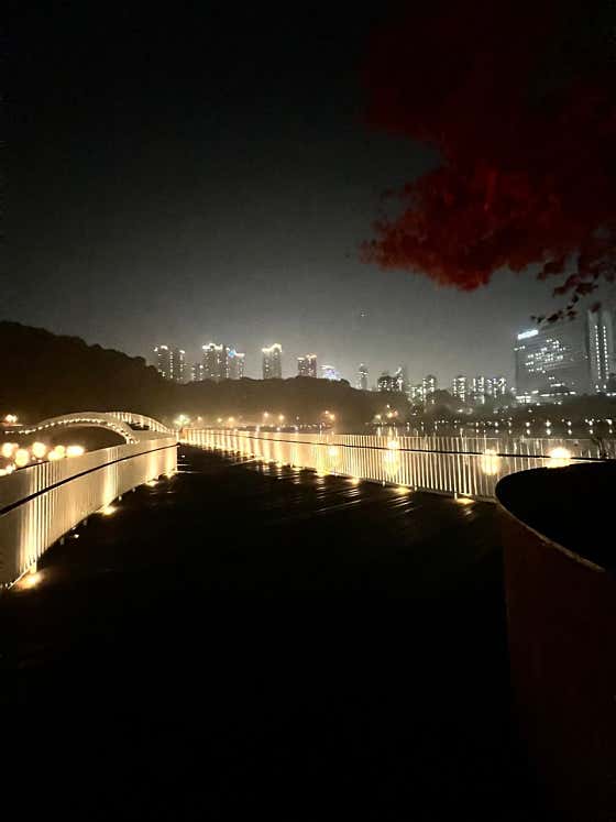 쿵 2 · 네이버 지도·플레이스 9