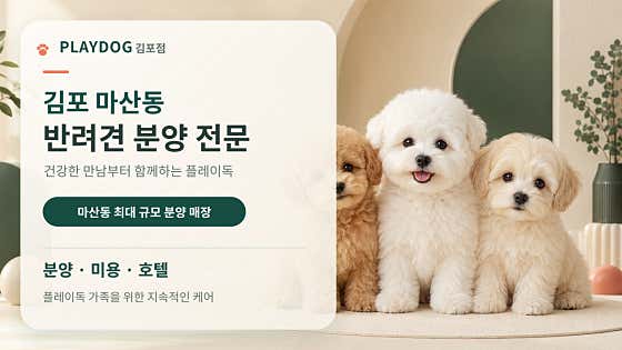 강아지분양 플레이독 김포점 · 네이버 지도·플레이스 10