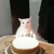 주문제작 케이크 메뉴 사진(네이버)