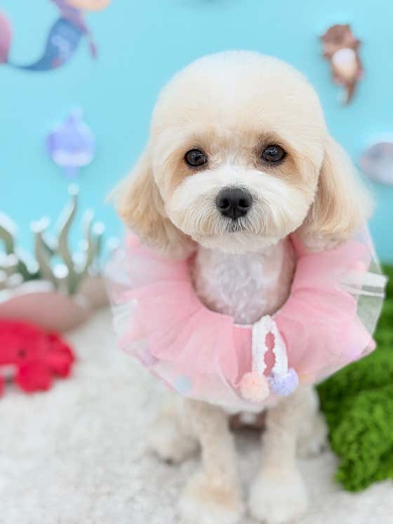 어나더유