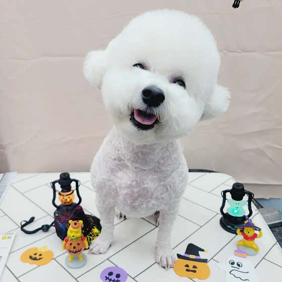 몽이슈 · 네이버 지도·플레이스 3