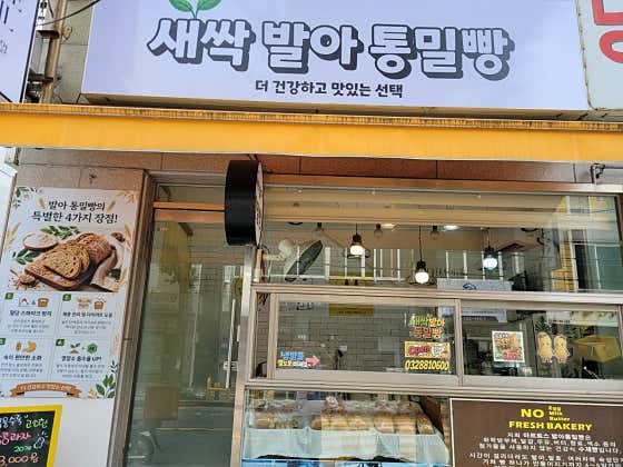 새싹 발아 통밀빵