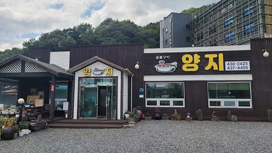 양지