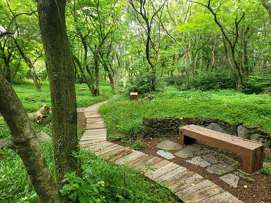 숲카페동천