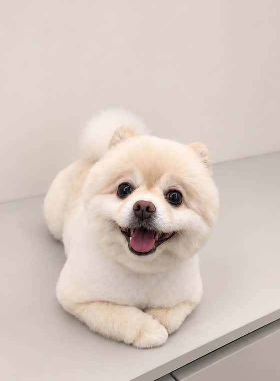 개in공간