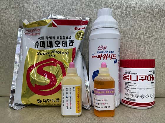 성인약국