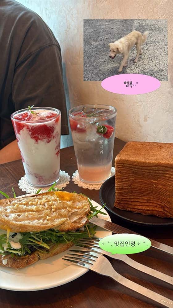 카페 포내리 · 네이버 지도·플레이스 3