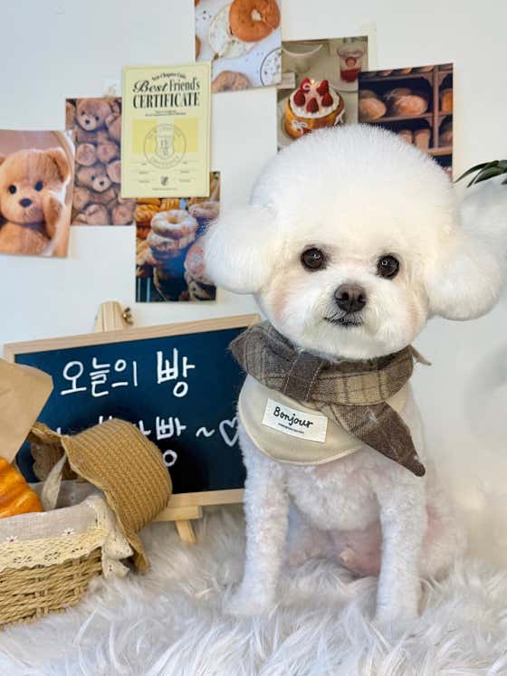 캐시앤테디 · 네이버 지도·플레이스 10