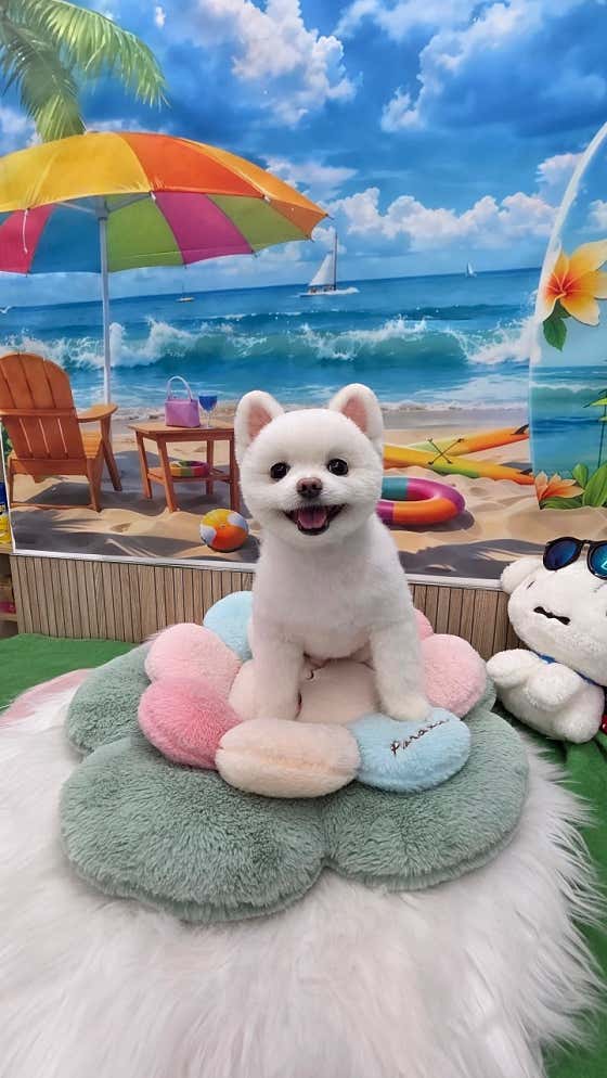 다독다독 · 네이버 지도·플레이스 4