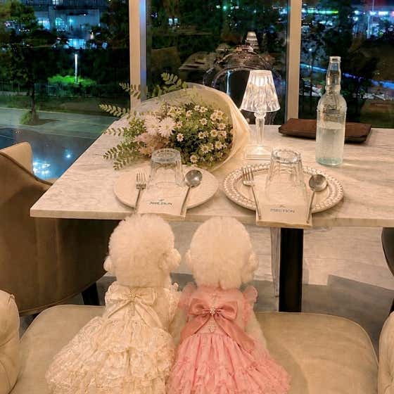 투섹션 광교본점 · 네이버 지도·플레이스 4