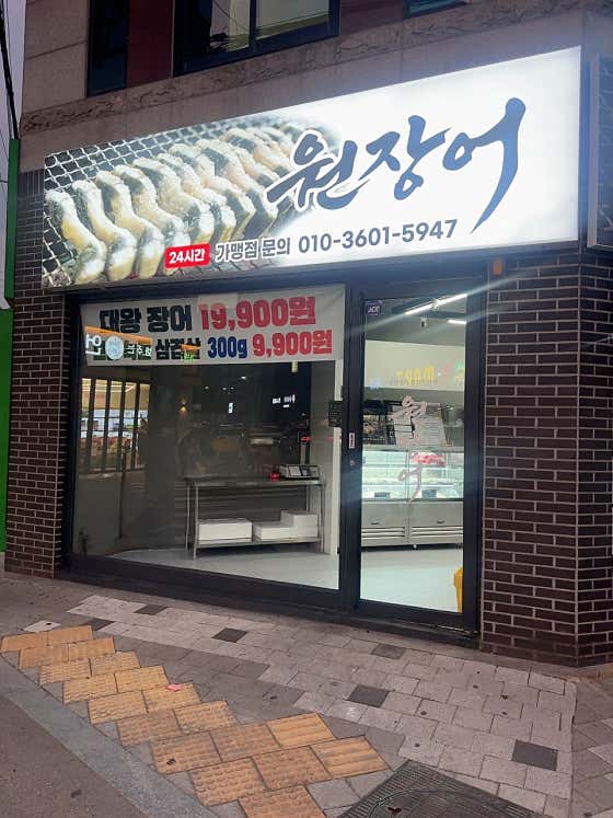 원장어