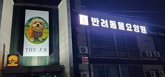 반려동물요양원 더 견우 · 네이버 지도·플레이스 4