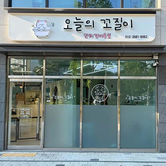 오늘의꼬질이 · 네이버 지도·플레이스 3