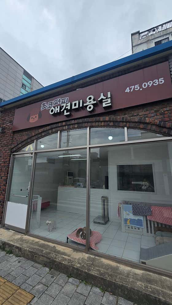 초코퍼피애견미용실 · 네이버 지도·플레이스 6
