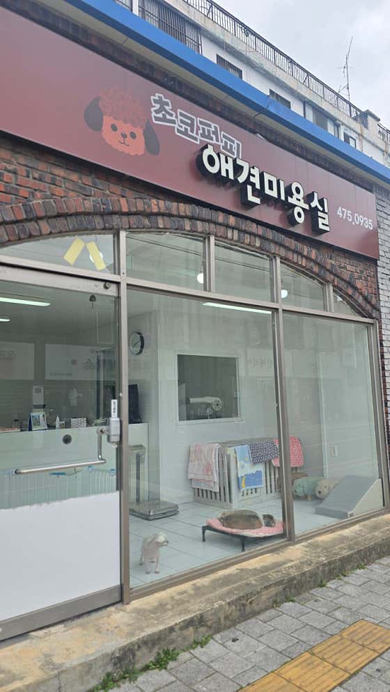 초코퍼피애견미용실 · 네이버 지도·플레이스 5
