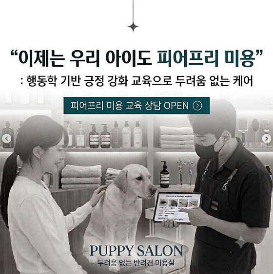 퍼피살롱 · 네이버 지도·플레이스 2