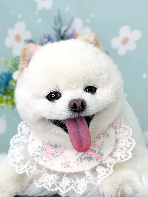 에코몽 라피에스타점