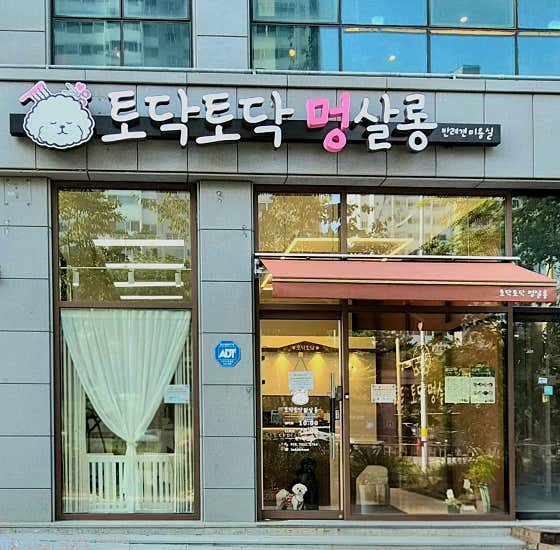 토닥토닥멍살롱