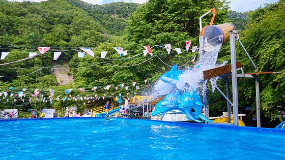춘천 자유인의 스파 카라반