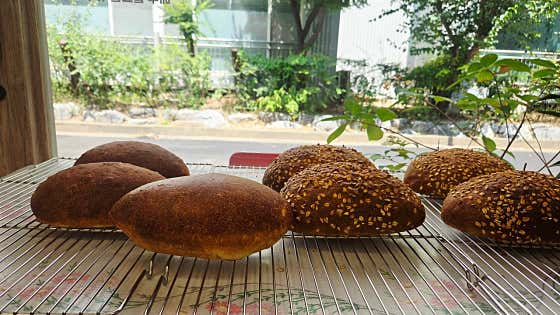 베지 플레이트