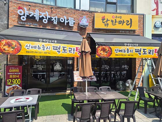 양계장집아들 닭한마리