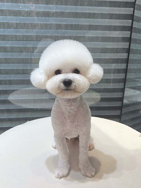 아지몽 · 네이버 지도·플레이스 5