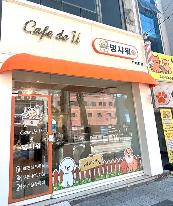 카페드유&멍샤워