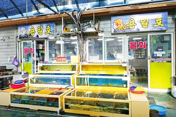 용일호횟집