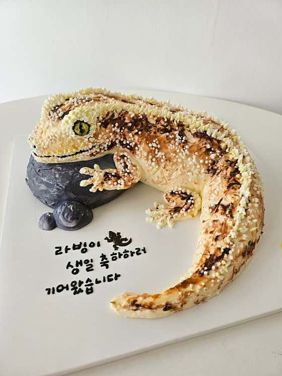 오전의케이크 · 네이버 지도·플레이스 1