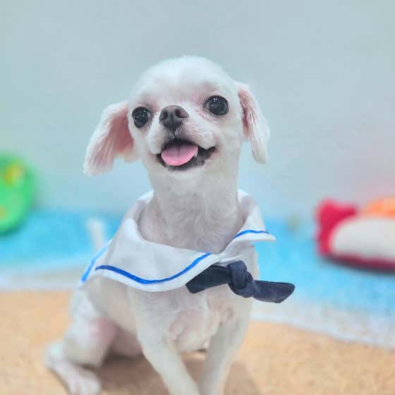 또비네 목욕탕 · 네이버 지도·플레이스 8