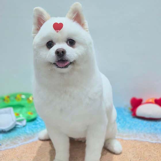 또비네 목욕탕 · 네이버 지도·플레이스 10