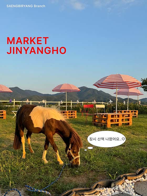 마켓진양호 생비량점