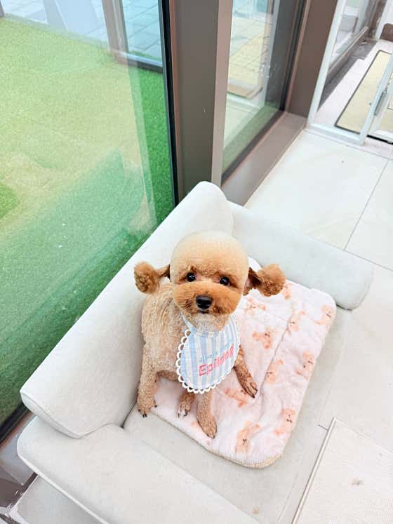 에필도그 · 네이버 지도·플레이스 3