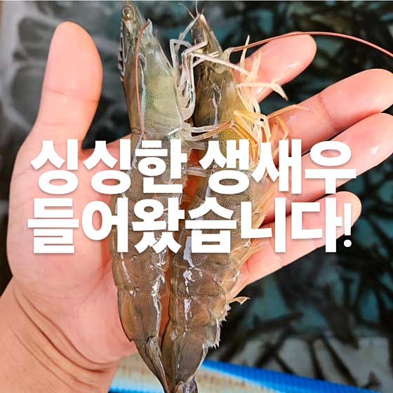 해담 일광점 · 네이버 지도·플레이스 6