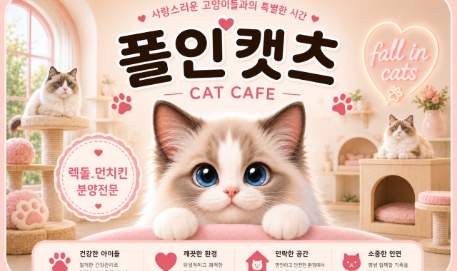 폴인캣츠 대표 사진